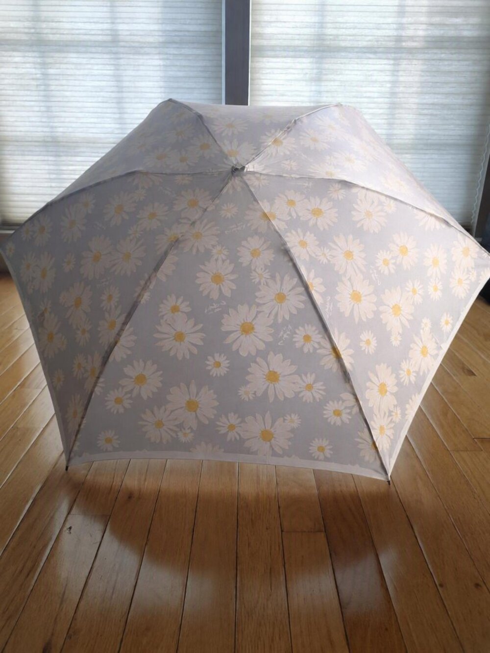 NEW Lanvin en Bleu daisy folding umbrella NWOT